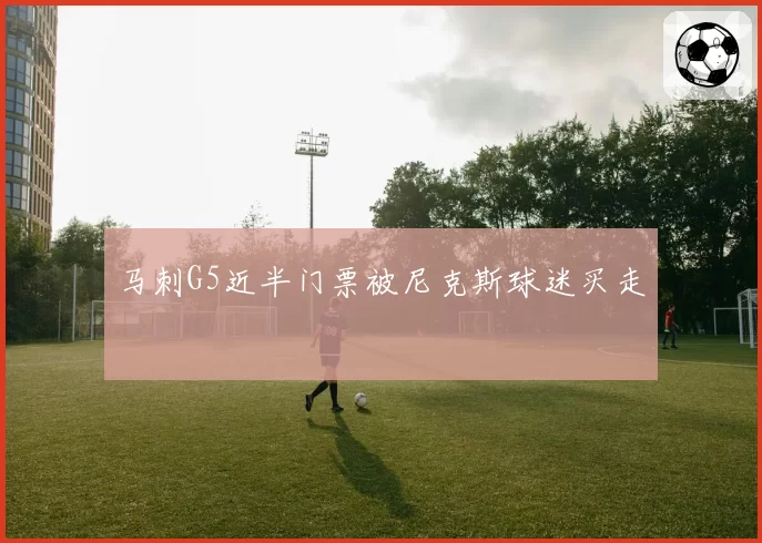 马刺G5近半门票被尼克斯球迷买走
