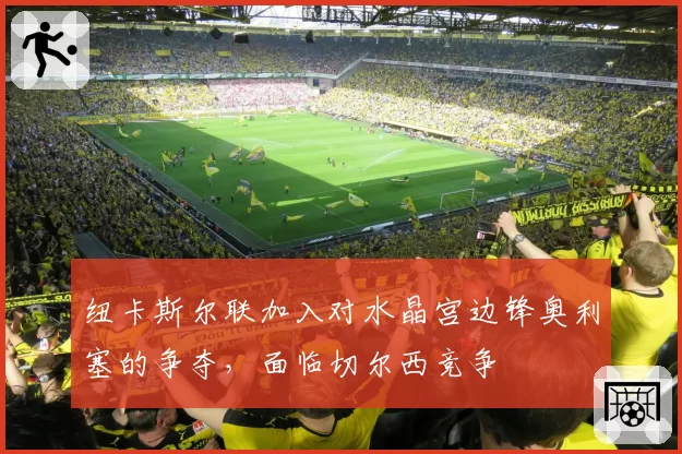 纽卡斯尔联加入对水晶宫边锋奥利塞的争夺，面临切尔西竞争