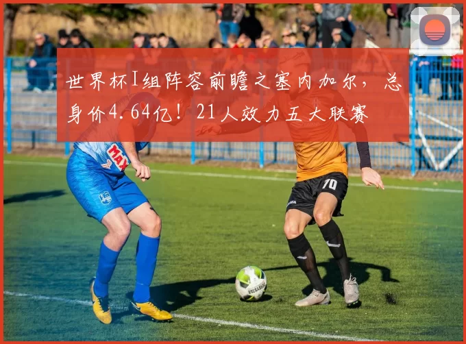 世界杯I组阵容前瞻之塞内加尔，总身价4.64亿！21人效力五大联赛
