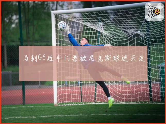 马刺G5近半门票被尼克斯球迷买走