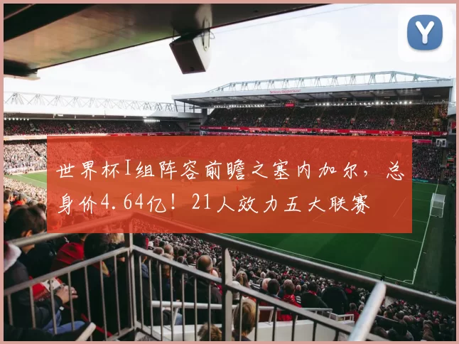 世界杯I组阵容前瞻之塞内加尔，总身价4.64亿！21人效力五大联赛