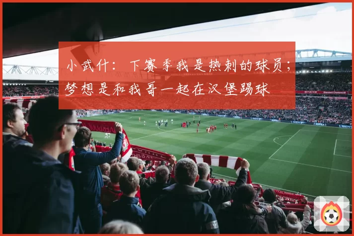 小武什：下赛季我是热刺的球员；梦想是和我哥一起在汉堡踢球