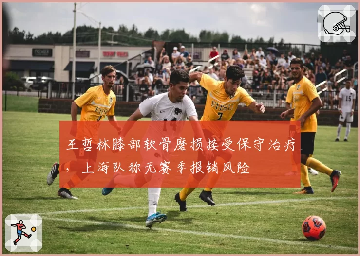 王哲林膝部软骨磨损接受保守治疗，上海队称无赛季报销风险