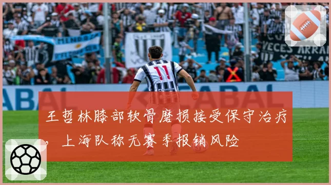 王哲林膝部软骨磨损接受保守治疗，上海队称无赛季报销风险